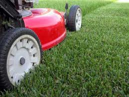 Cape Cod Lawn Mowing Services - Full Lawn Care - new lawns - existing lawns, over seeding